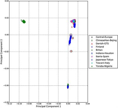 Investigation of SNP rs2060546 Immediately Upstream to NTN4 in a Danish Gilles de la Tourette Syndrome Cohort